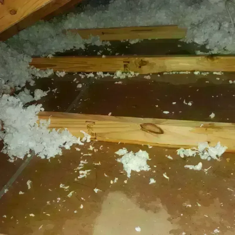 Attic Water Damage in Fergus County, MT